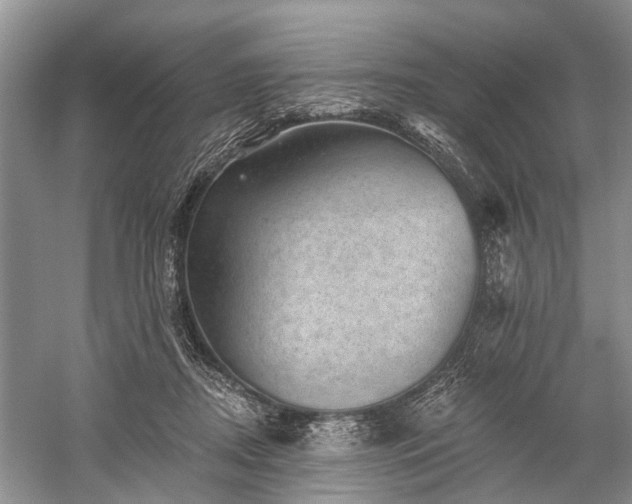 X0000059220362200510171430