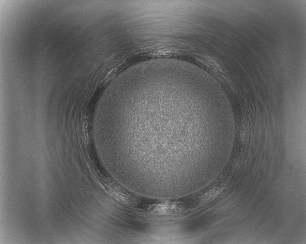 X0000059220366200510171430