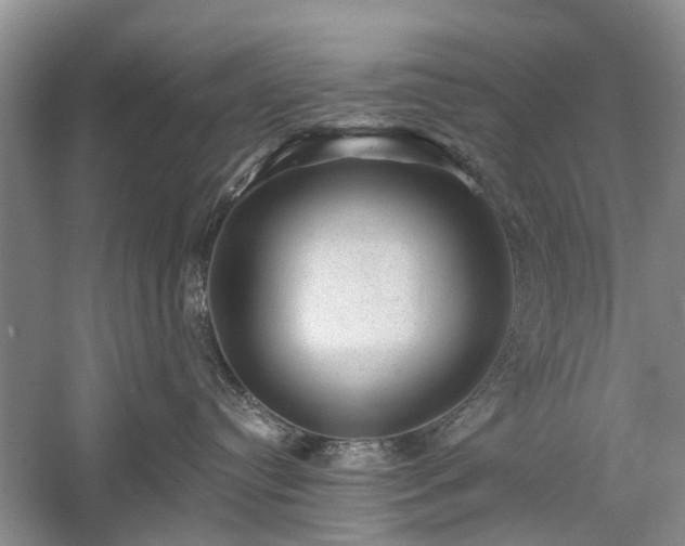 X0000059220384200510171430