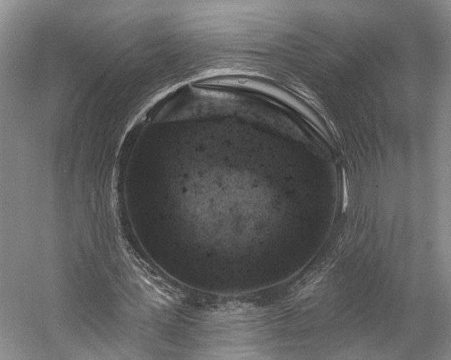 X0000059220387200510171429