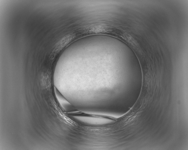 X0000059220393200510171429