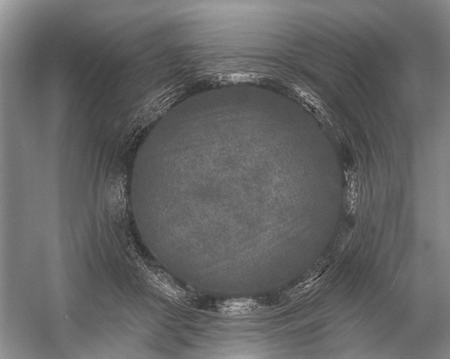 X0000059220410200510171429