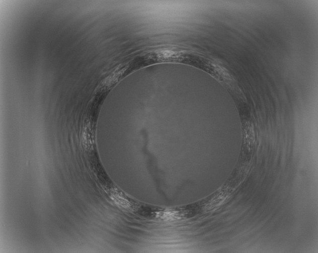 X0000059220419200510171429