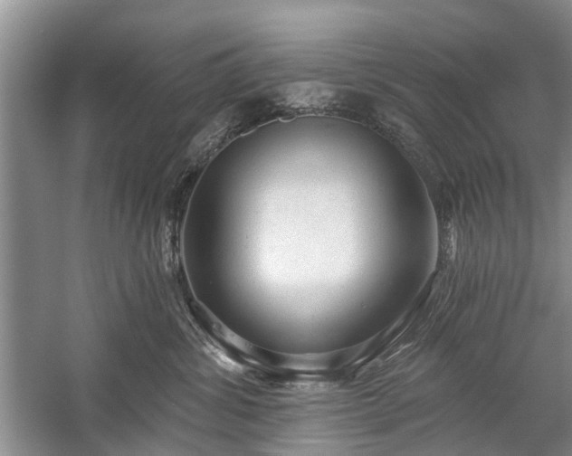 X0000059220428200510171428