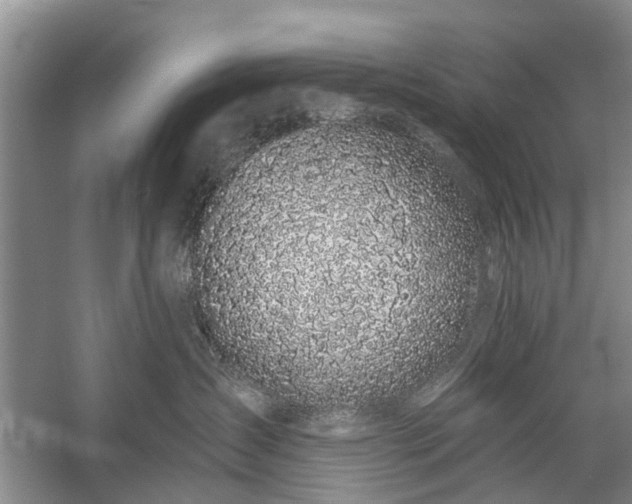 X0000059220431200510171428