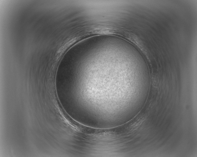 X0000059220433200510171428