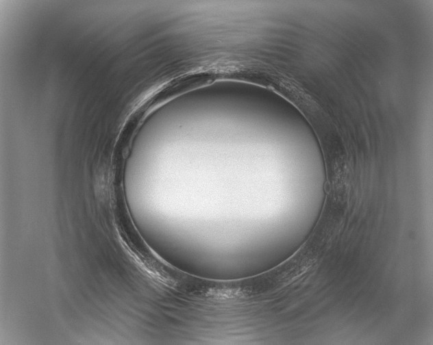 X0000059220440200510171428