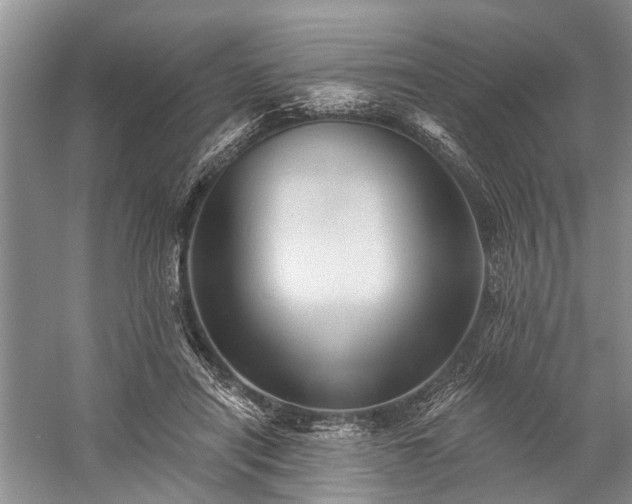 X0000059220454200510171428