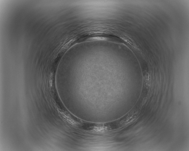 X0000059220458200510171428
