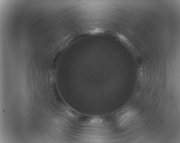 X0000059220471200510171428