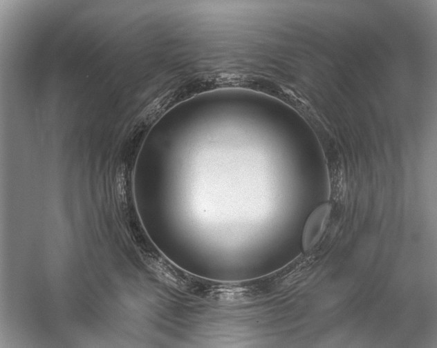 X0000059220472200510171428