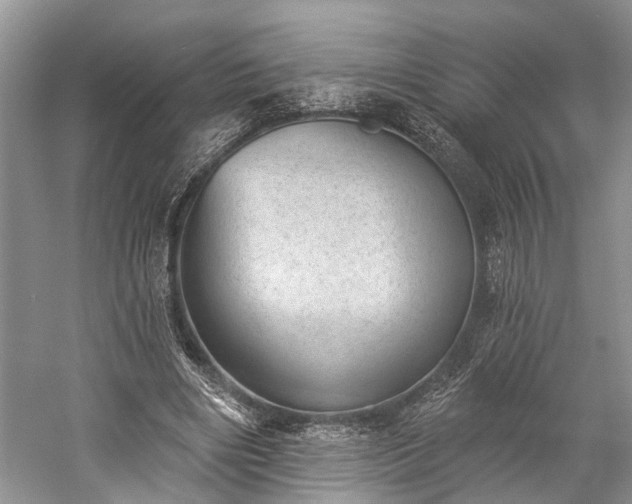 X0000059220490200510171427