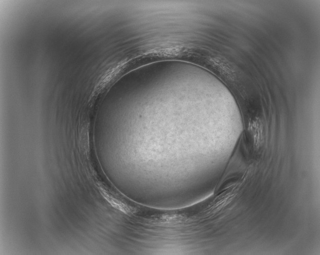 X0000059220493200510171427