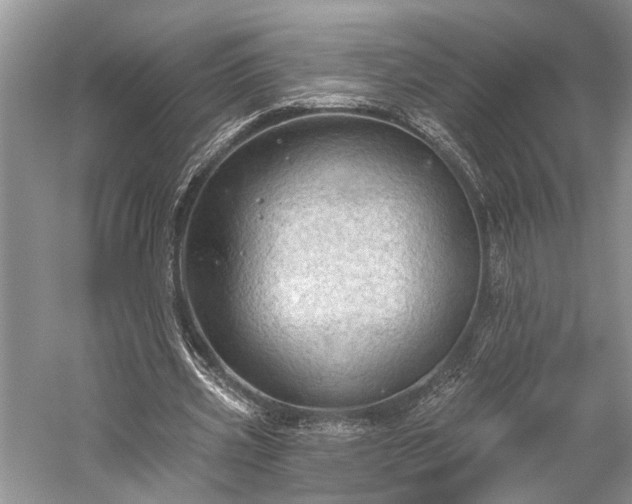 X0000059220533200510171426