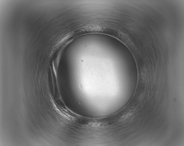 X0000059220538200510171426
