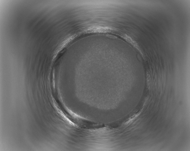 X0000059220581200510171426