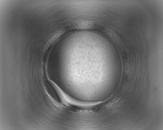 X0000059220586200510171426