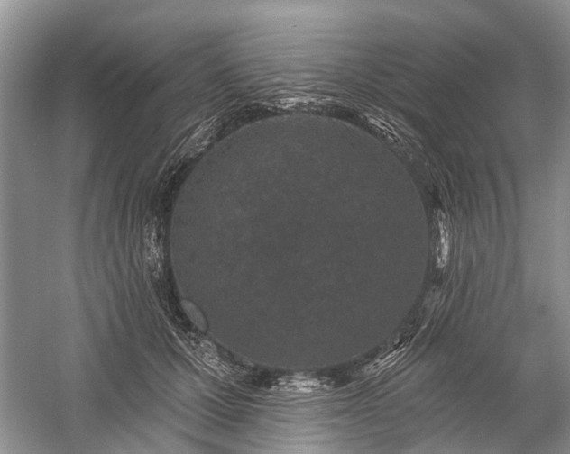 X0000059220607200510171425