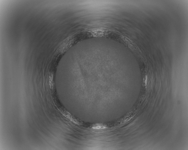 X0000059220610200510171425