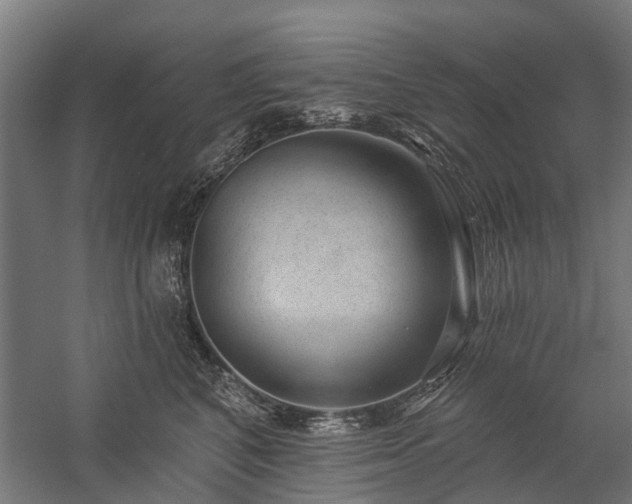 X0000059220616200510171425