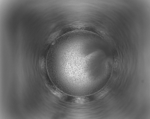X0000059220623200510171425