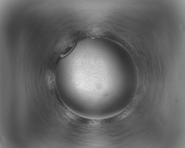 X0000059220624200510171425