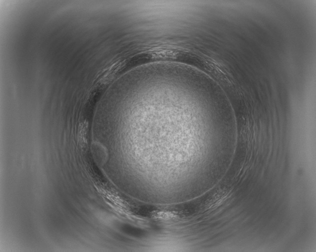 X0000059220649200510171425