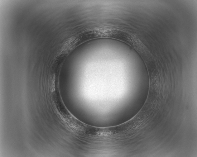 X0000059220694200510171424