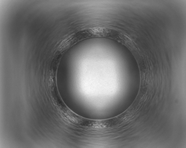 X0000059220702200510171424