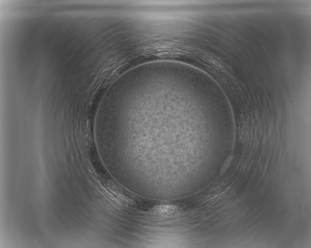 X0000059220748200510171423