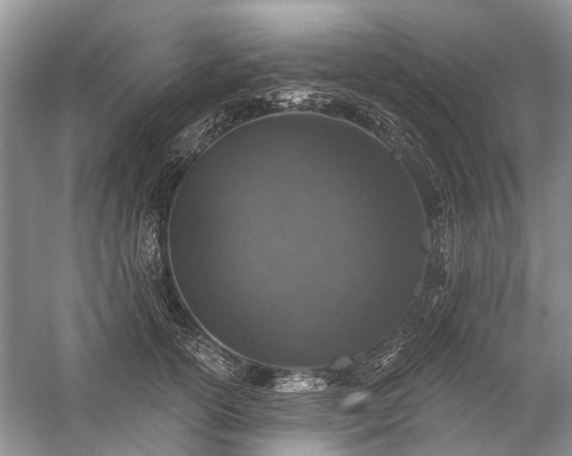 X0000059220754200510171423