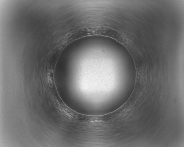 X0000059220770200510171423