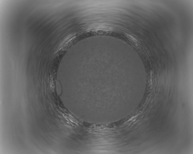 X0000059220774200510171422