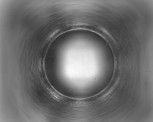 X0000059220777200510171422