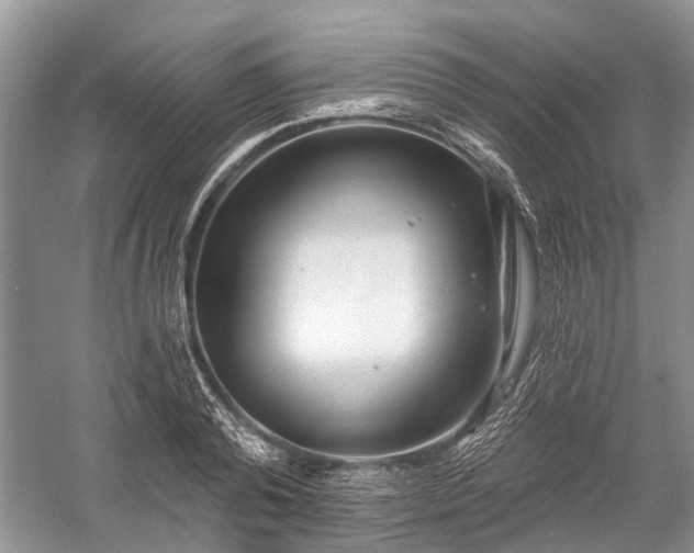 X0000059220792200510171422