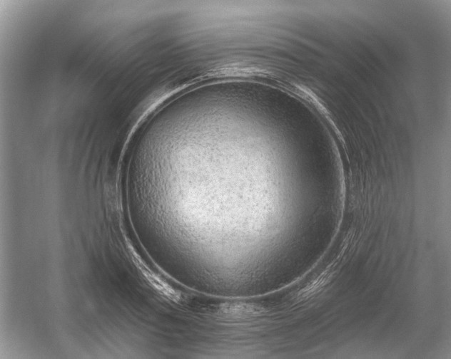 X0000059220795200510171422