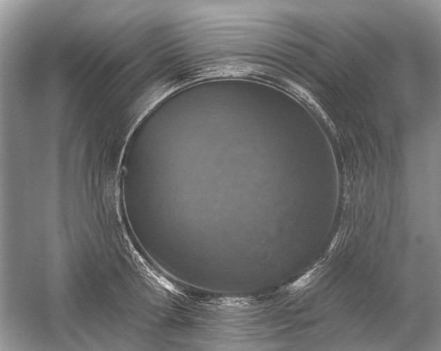 X0000059220802200510171422