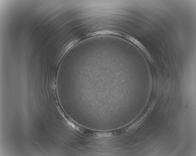 X0000059220809200510171422