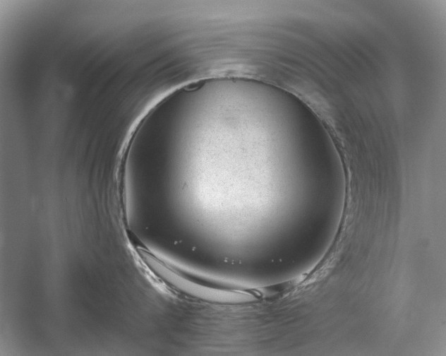 X0000059220816200510171422