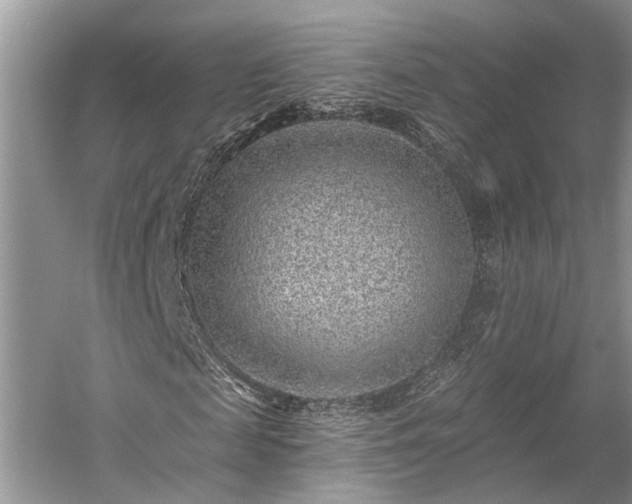 X0000059220817200510171421