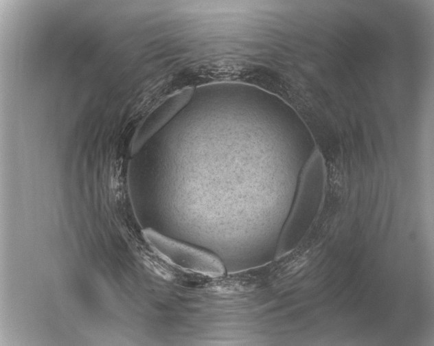 X0000059220818200510171421