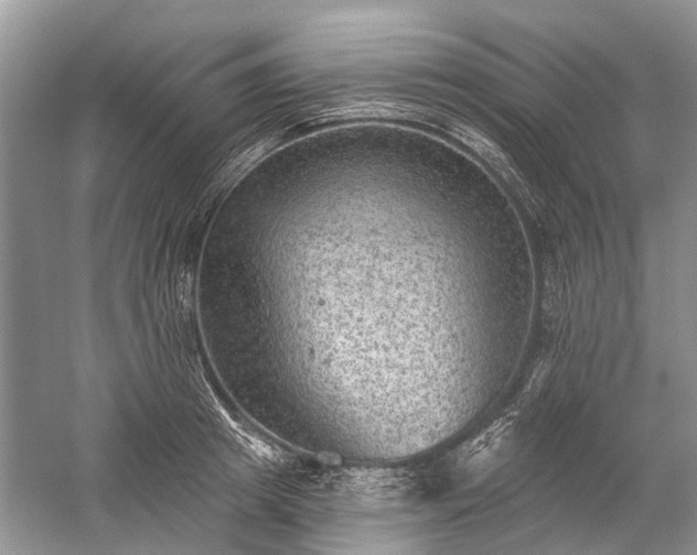 X0000059220849200510171421