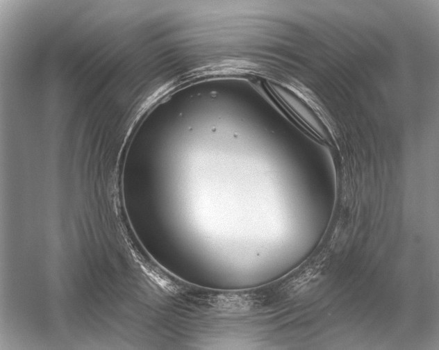 X0000059220850200510171421