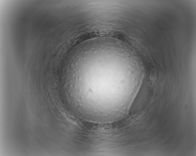 X0000059220865200510171421