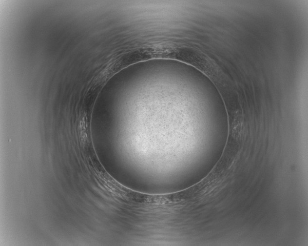 X0000059220866200510171421