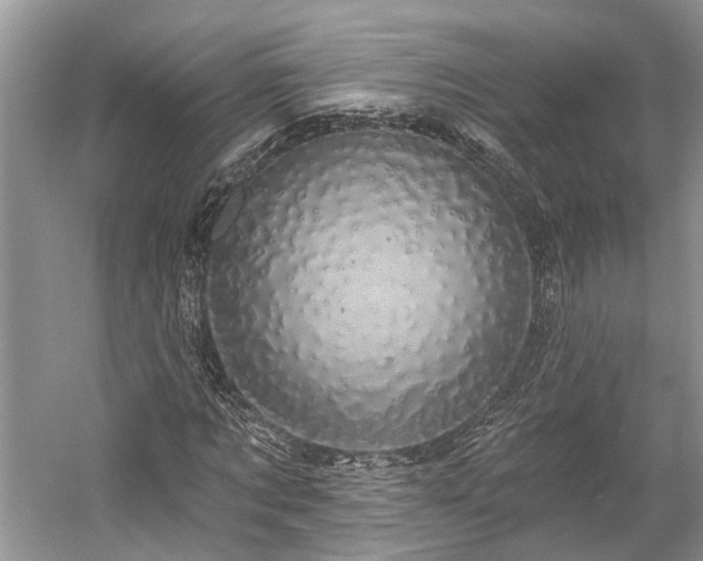 X0000059220869200510171421