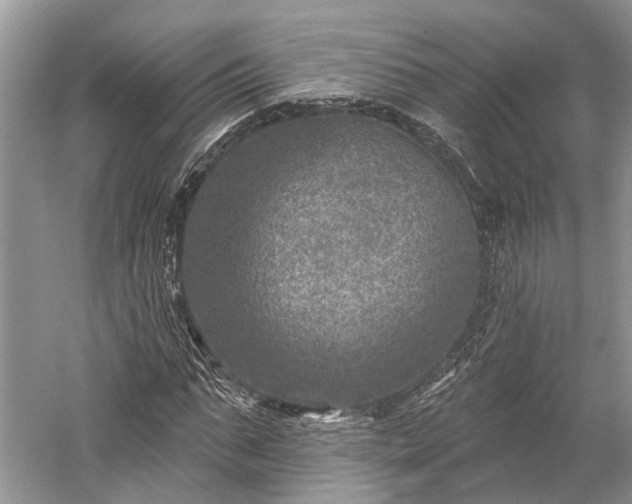 X0000059220871200510171421