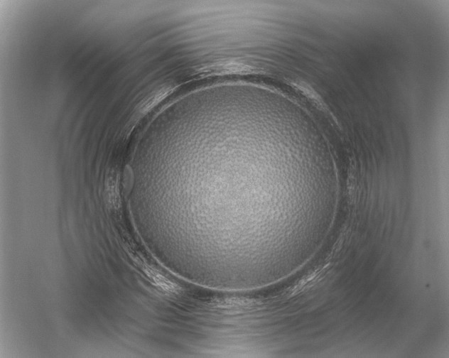 X0000059220873200510171421