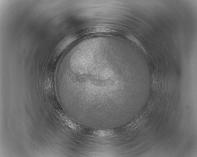 X0000059220874200510171421