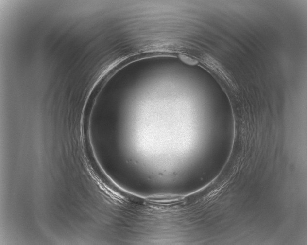 X0000059220884200510171420